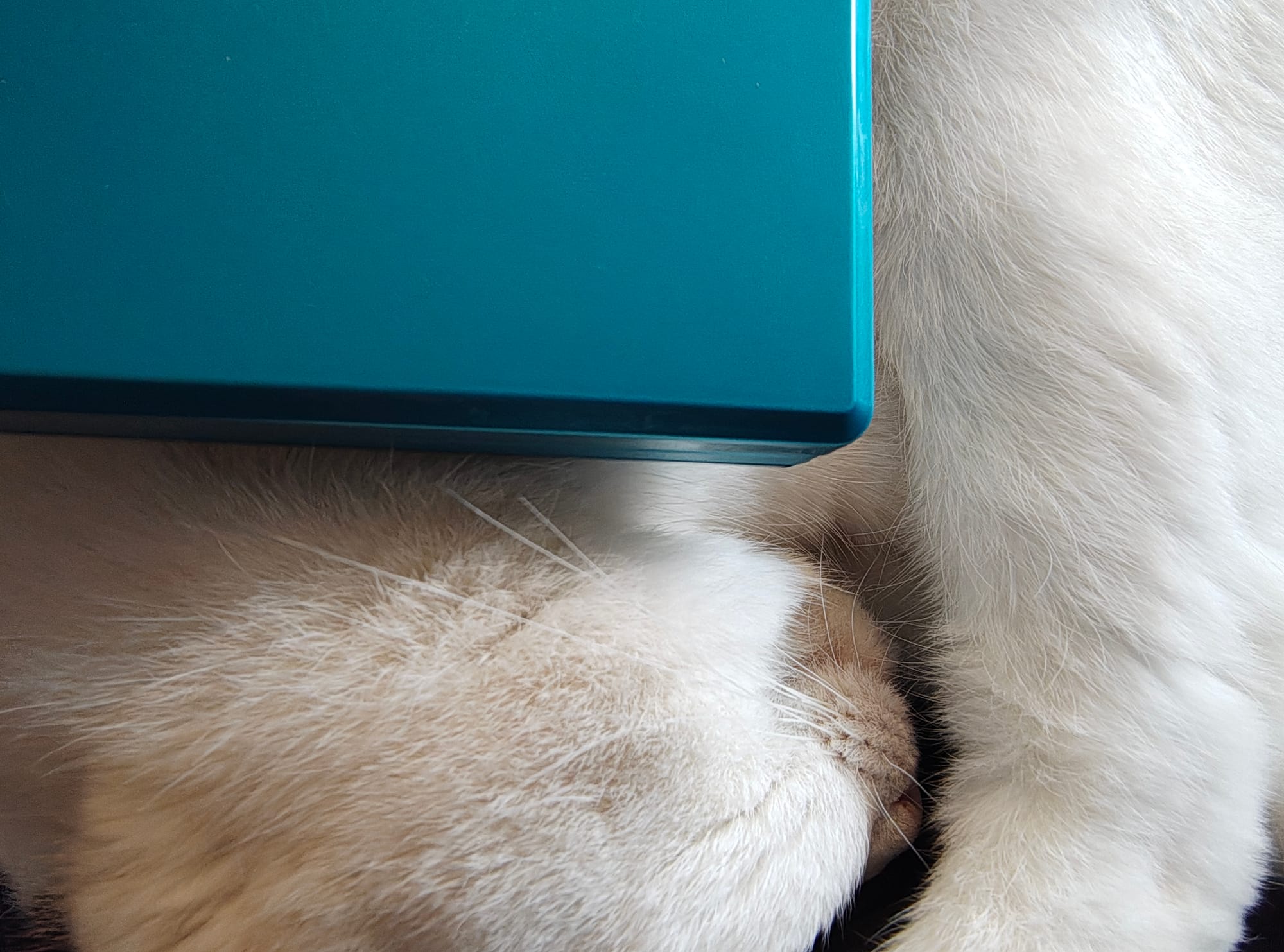 Hands-On With The Anbernic RG DS; The DSi Reimagined