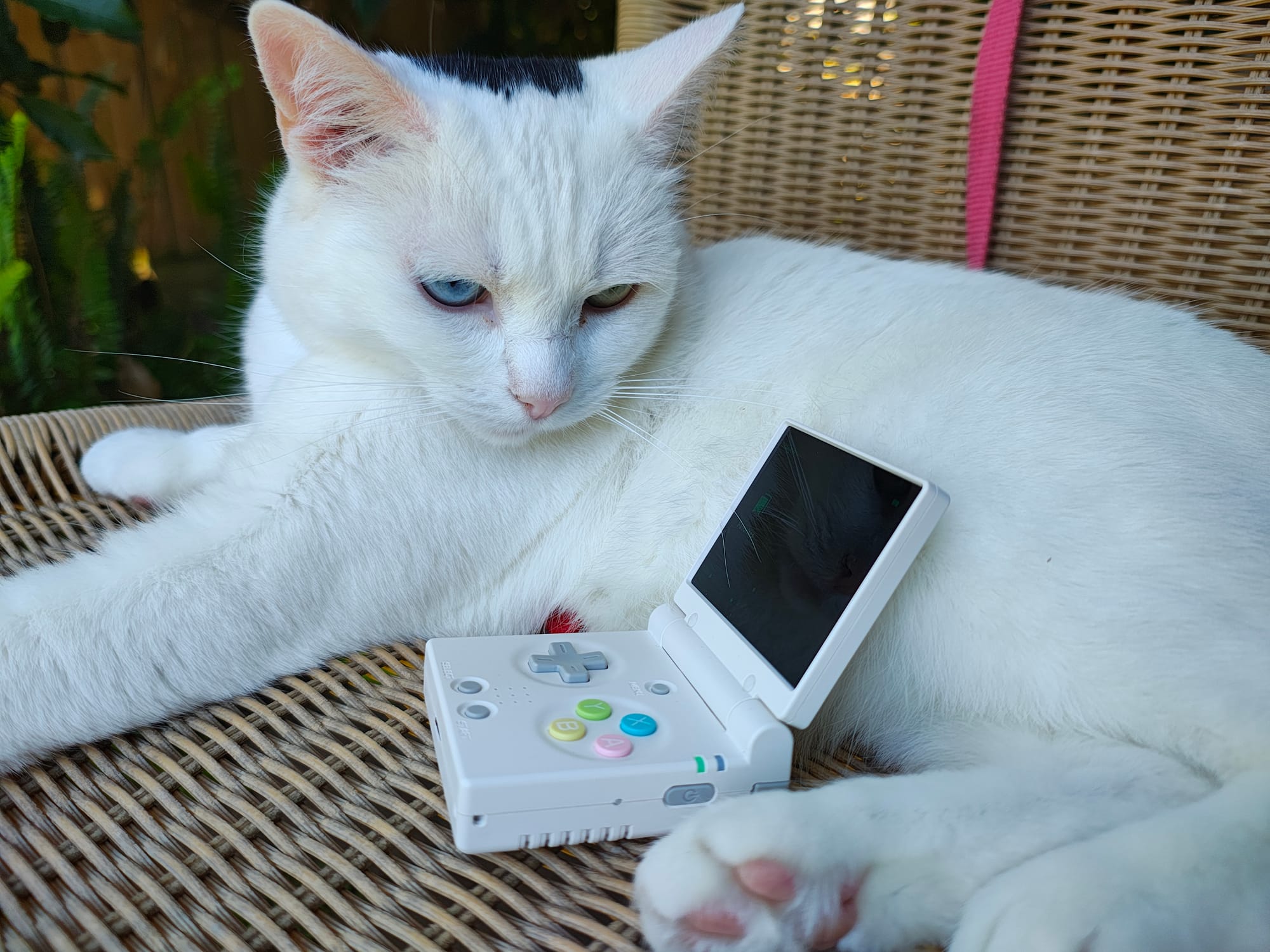 Hands-On With the Miyoo Mini Flip; The Modern Successor to the GBA SP